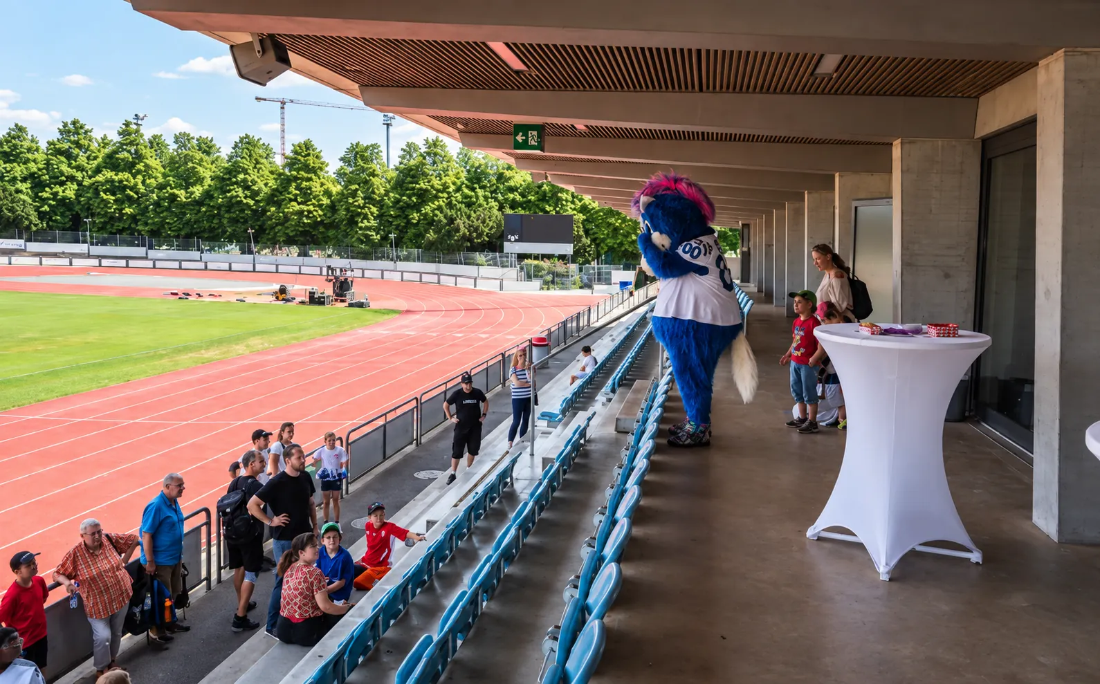 Fans und Maskottchen auf der Rankhof Tribüne